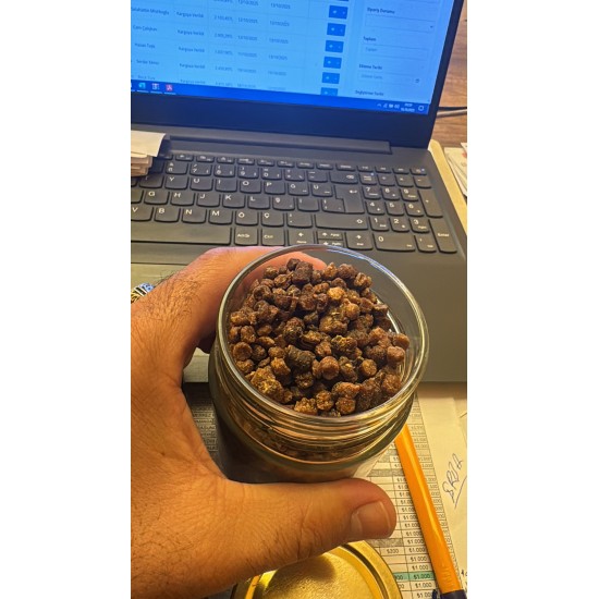 Organik Arı Ekmeği(PERGA) 200GR