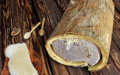 Karakovan Balının Faydaları