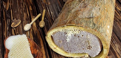 Karakovan Balının Faydaları